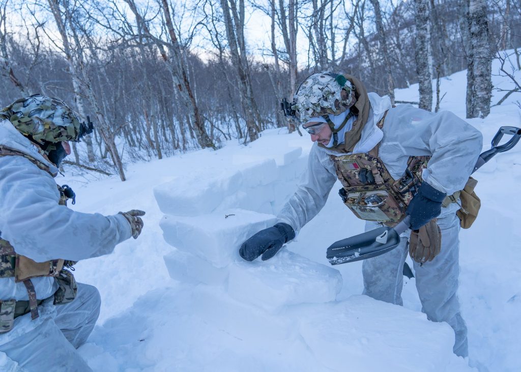 Important exercise in an arctic environment for the 2nd Alpini - brigatafolgore.net