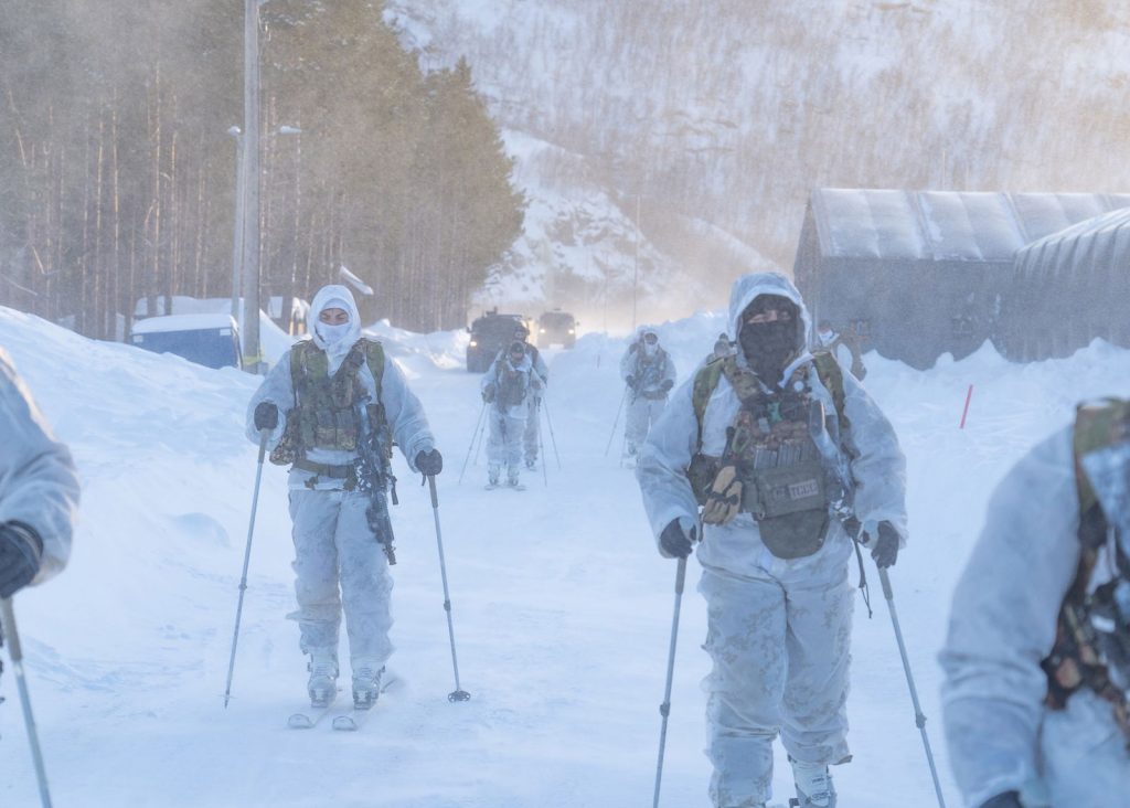 Important exercise in an arctic environment for the 2nd Alpini - brigatafolgore.net